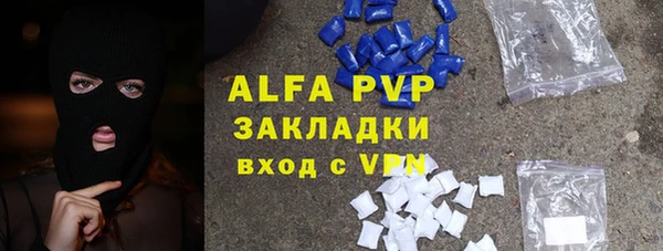 крисы Алексин