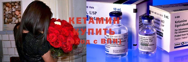 крисы Алексин