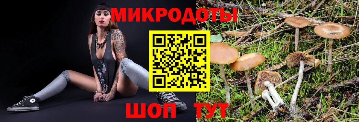Псилоцибиновые грибы мицелий  Вход с VPN  Бахчисарай 