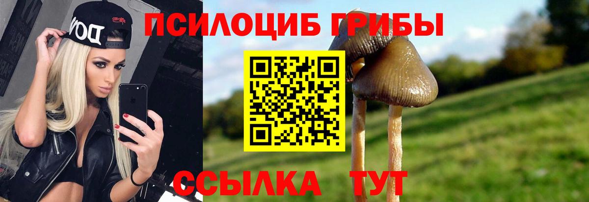 Галлюциногенные грибы ЛСД Бахчисарай