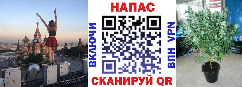 Канабис планчик цены Бахчисарай